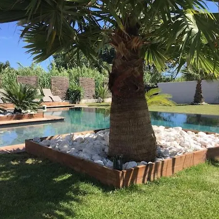 Piscine Sur A 50 Metres De La Villa Agde